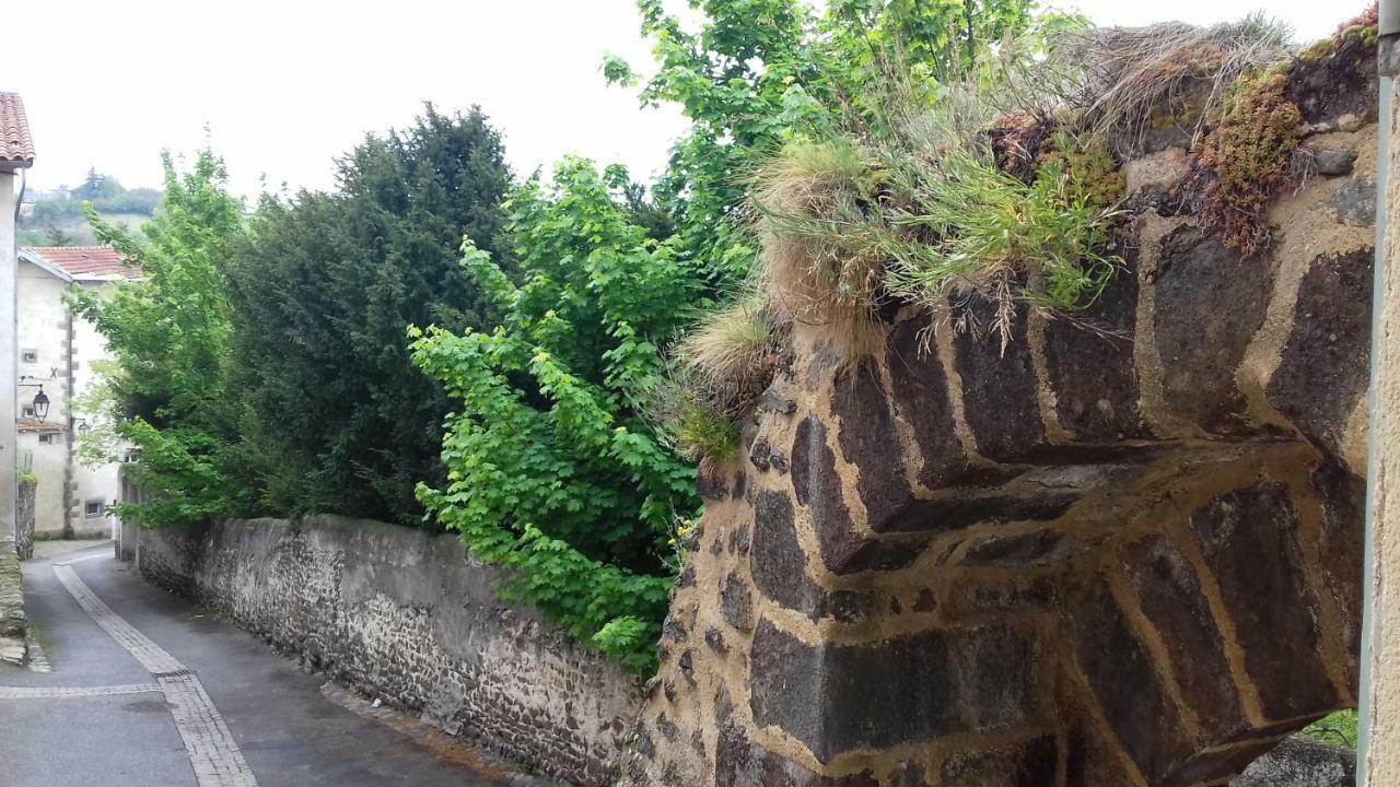 Le Petit Dyke Apartment Le Puy-en-Velay ภายนอก รูปภาพ